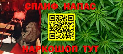 jwh Новозыбков